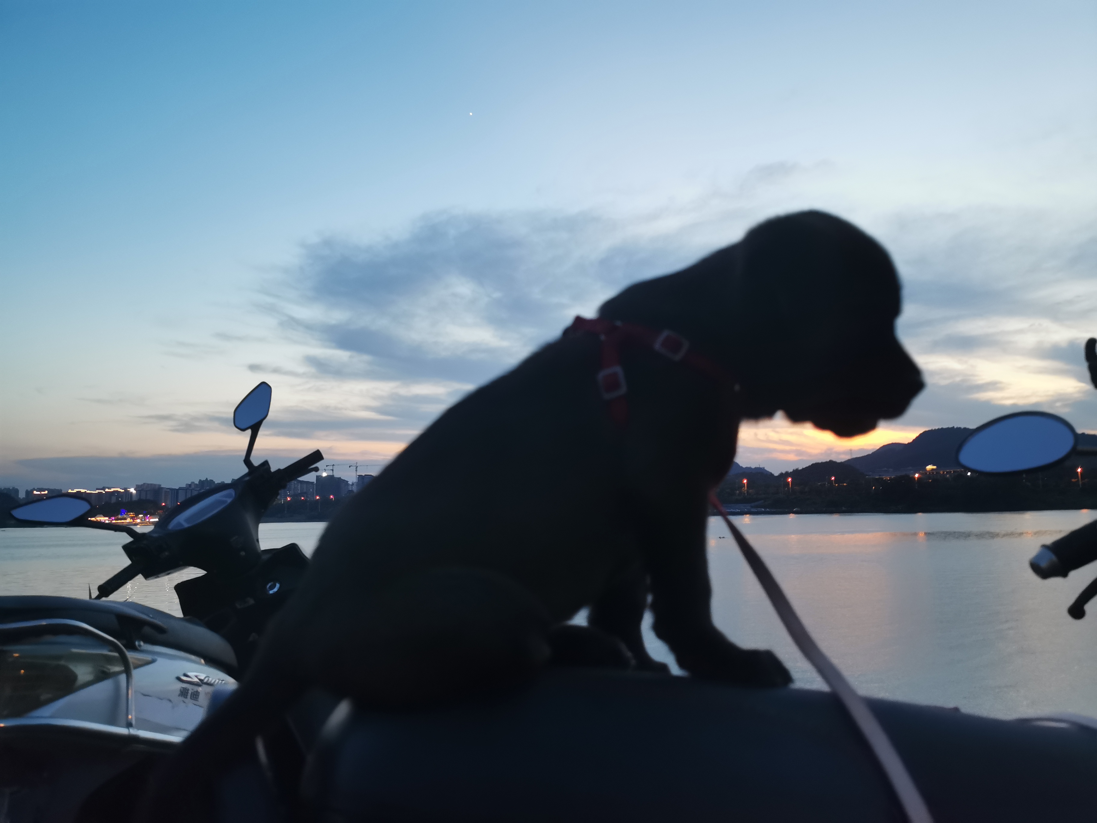 用心记录 · 美好生活