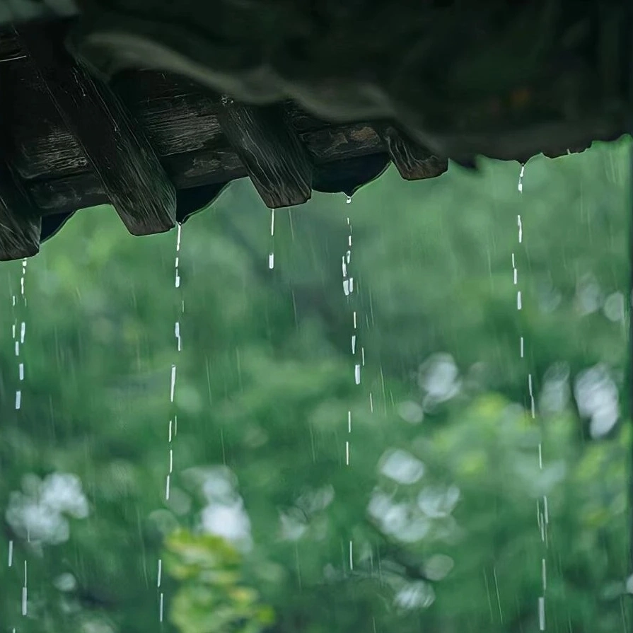  莫负金穗浪 · 轻步落枫风